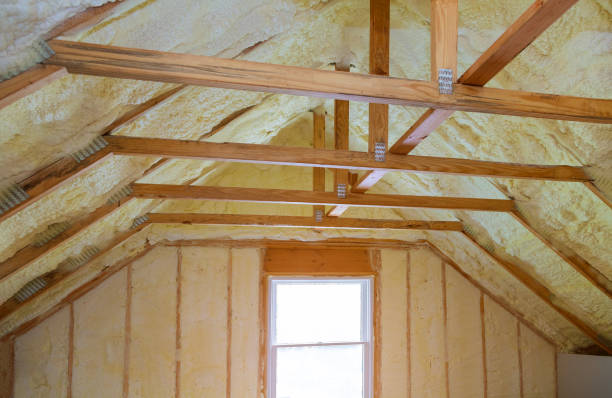 Best Insulation Replacement Services  in Norton, OH